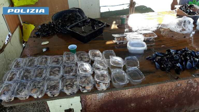 Conservate in container e lavorate in baracche: sequestrati 5 quintali di cozze a Taranto