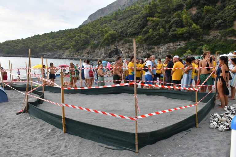 Maratea, un nido speciale per le tartarughe marine sulla spiaggia di Fiumicello