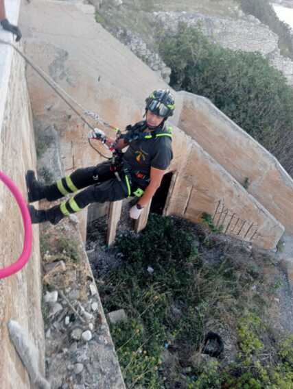 Galleria foto 'Bisceglie, un cane rimane bloccato su un cornicione: salvato dai vigili del fuoco' - foto 3