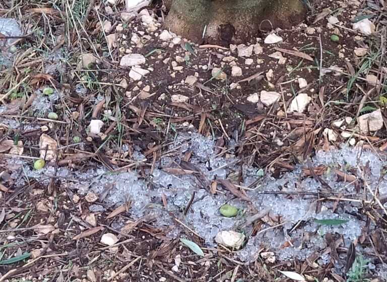 Maltempo in Puglia: grandine nel Salento. Forti piogge e allagamenti ad Altamura, a Bari splende il sole – VIDEO
