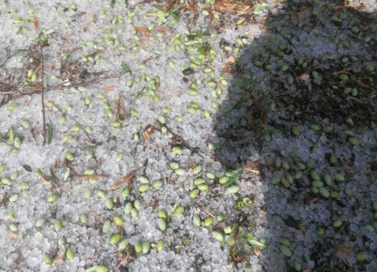 Maltempo nel Barese, grandine fra Sannicandro e Cassano: i danni – VIDEO