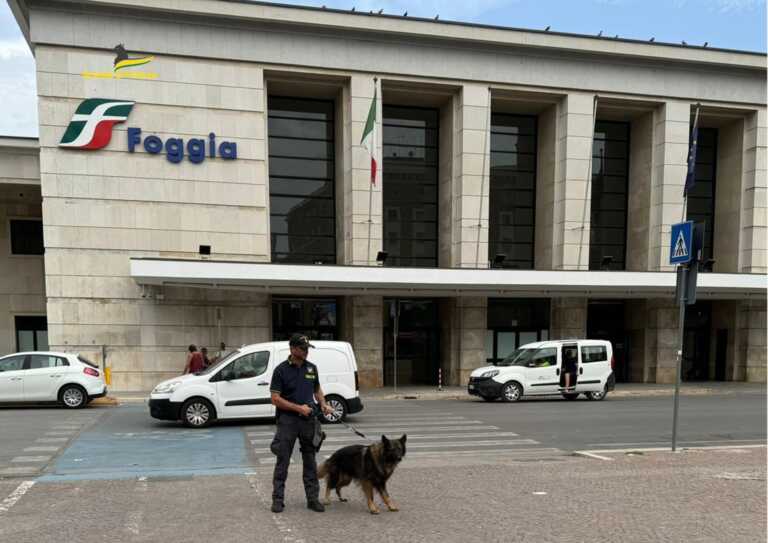 Foggia, il fiuto di Jackson e Gerico incastra un 37enne: aveva 4.400 pasticche di Ecstasy