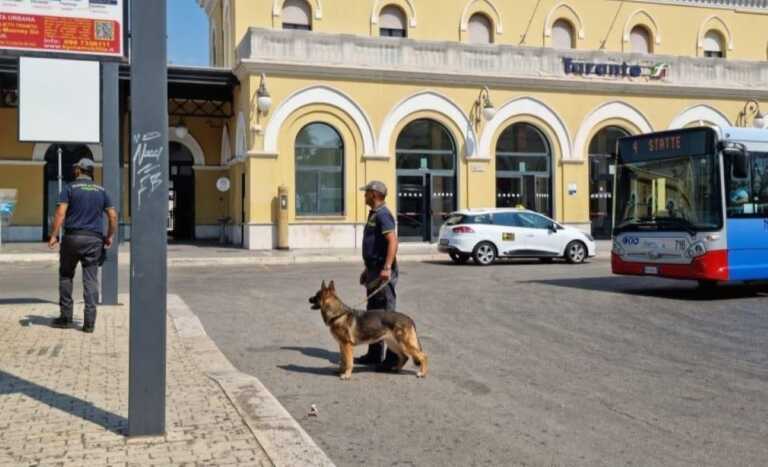 Taranto, controlli della guardia di finanza: Yuri e Grisu fiutano numerose dosi di droga