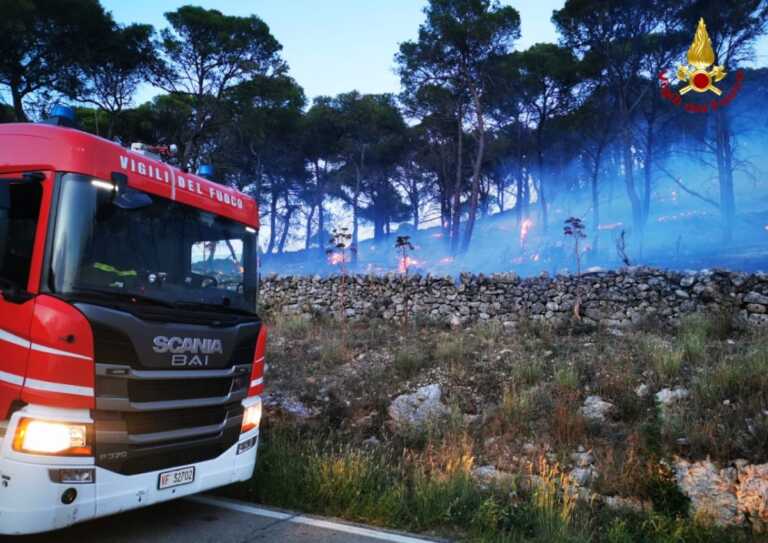 Incendio nel Parco dell’Alta Murgia: vigili del fuoco al lavoro tutta la notte – FOTO