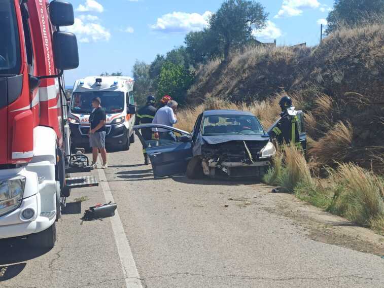 Incidente sulla provinciale tra Pisticci e San Basilio: un’auto investe un cinghiale