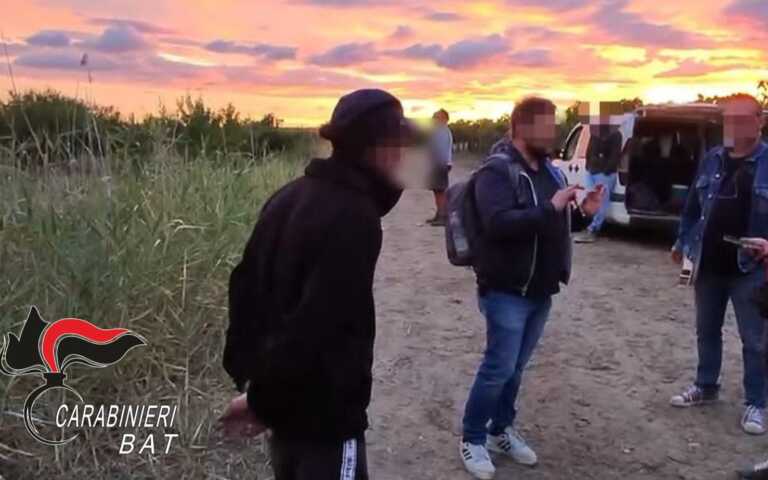 Migranti irregolari al lavoro in campagne: sospese 2 aziende a San Ferdinando di Puglia
