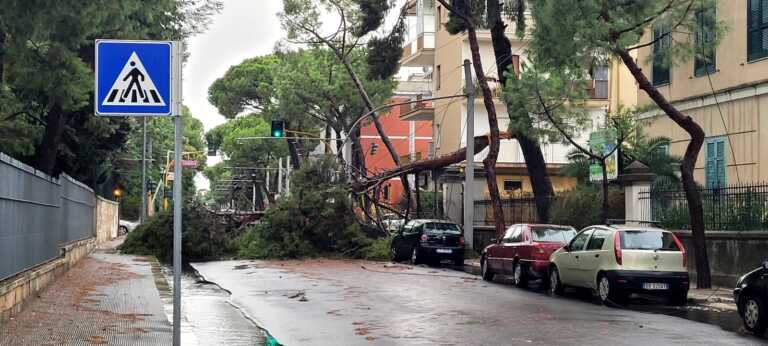 Bomba d’acqua su Bari: in un’ora sono caduti 25,9 mm di pioggia. Partita la conta dei danni