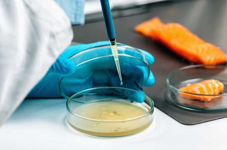 Accordo tra LumSI e FoodInnLab: via alla cooperazione per la ricerca e l’innovazione