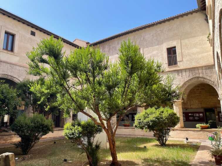 Soprintendenza Subacquea, Emiliano scrive al ministro Giuli: «La sede resti a Taranto»
