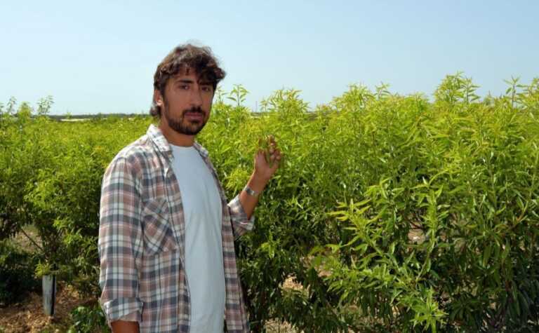 Galleria foto 'Agricoltura, Stefano Pugliese: «Ho lasciato Milano per tornare a coltivare mandorle» – L’INTERVISTA' - foto 1