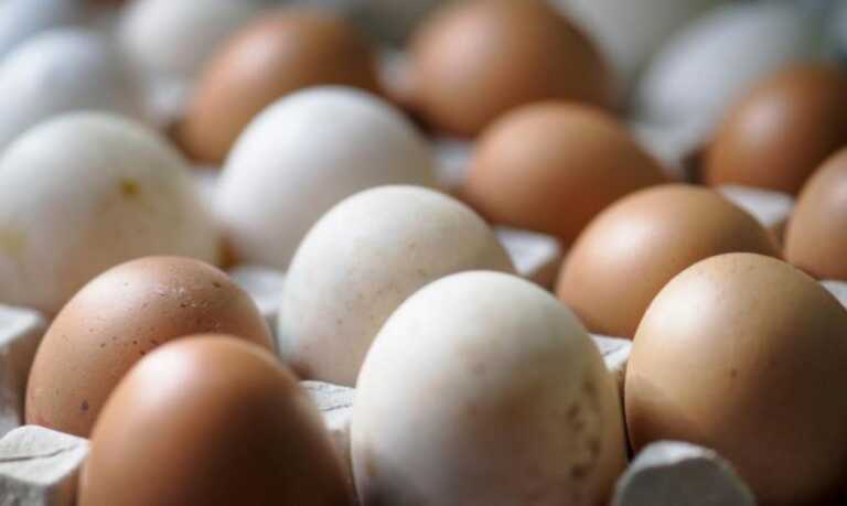Allarme alimentare, richiamate uova fresche a marchio Spinovo per un potenziale rischio microbiologico