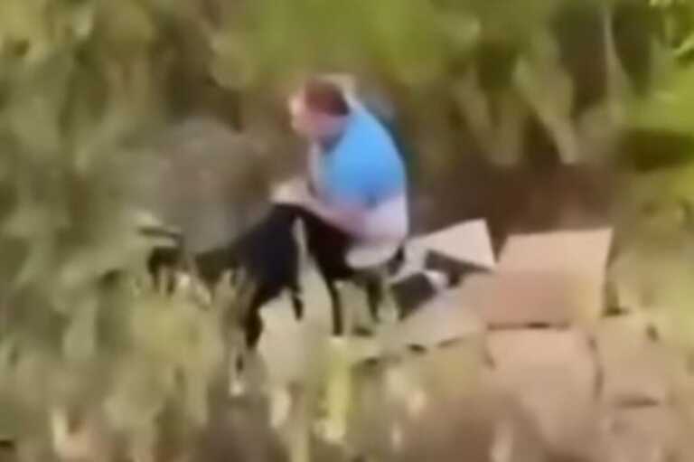 Orrore nel Leccese, ripreso mentre violenta un cane: denunciato per zoofilia erotica