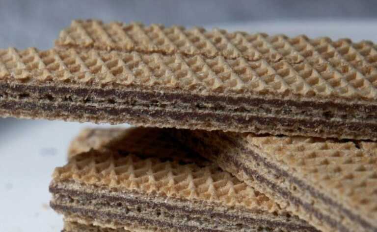 Carcassa di un topo nei wafer a Francavilla Fontana: l’Asl avvia le ispezioni Carcassa di un topo nei wafer a Francavilla Fontana: l’Asl avvia le ispezioni