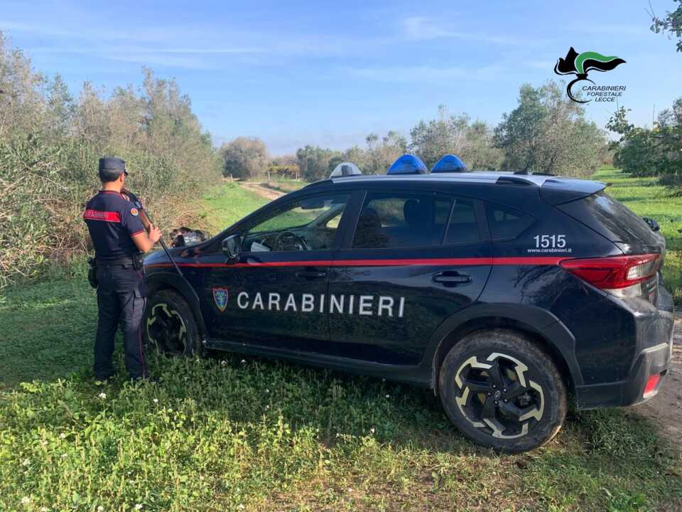 A caccia senza porto d’armi e con un fucile con matricola abrasa: arrestato un 67enne a Copertino