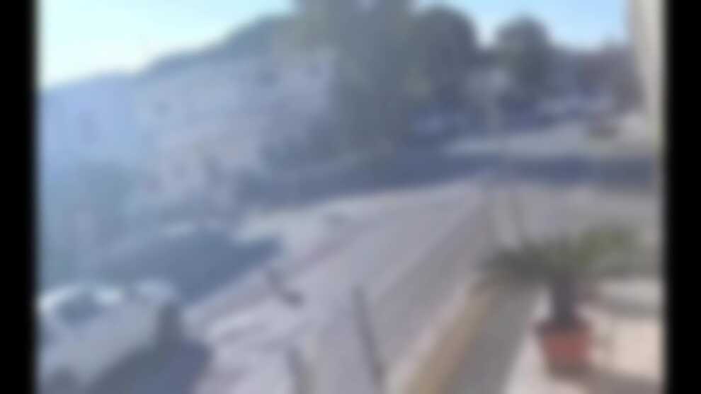 Orrore nel Tarantino, insegue e investe il cane di quartiere: indignazione sui social – VIDEO