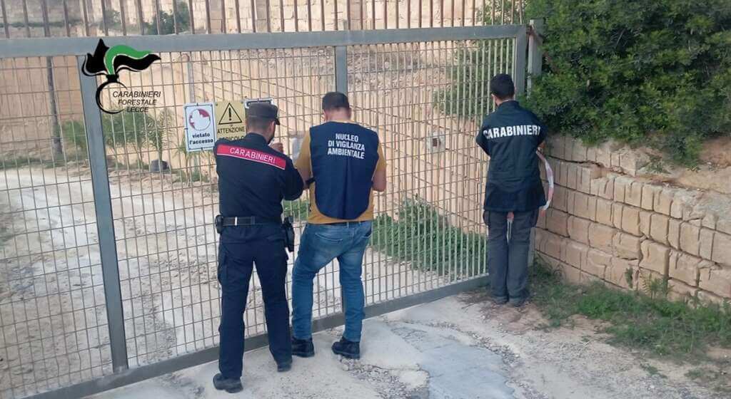 Galleria foto 'Gallipoli, scoperta una cava abusiva con segheria e rifiuti: denunciato il proprietario – FOTO' - foto 5