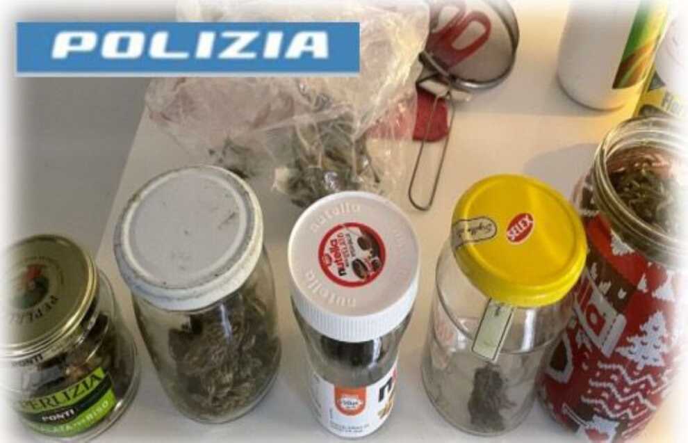 Galleria foto 'Coltiva marijuana in casa a Trani, sequestrate 11 piante: un arresto' - foto 2