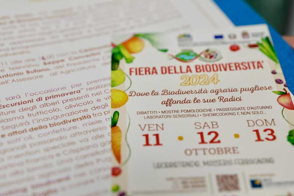 Locorotondo, ecco la Fiera della biodiversità: appuntamento nel weekend tra dibattiti ed eventi – VIDEO