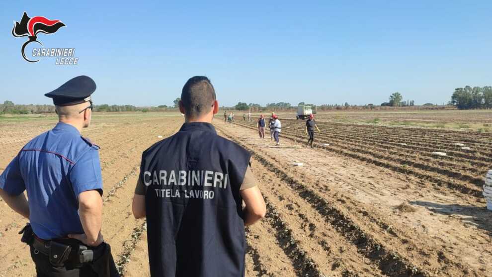 Galleria foto 'Scoperti 53 finti braccianti agricoli nel Salento: truffa allo Stato da 150mila euro – VIDEO' - foto 1