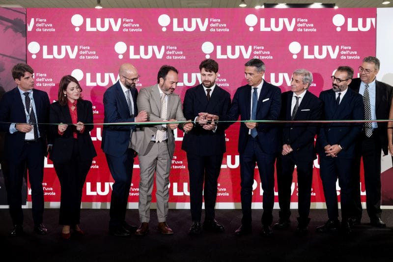 Galleria foto 'Bari, via alla prima fiera in Europa dedicata all’uva da tavola: oltre 200 gli espositori' - foto 1
