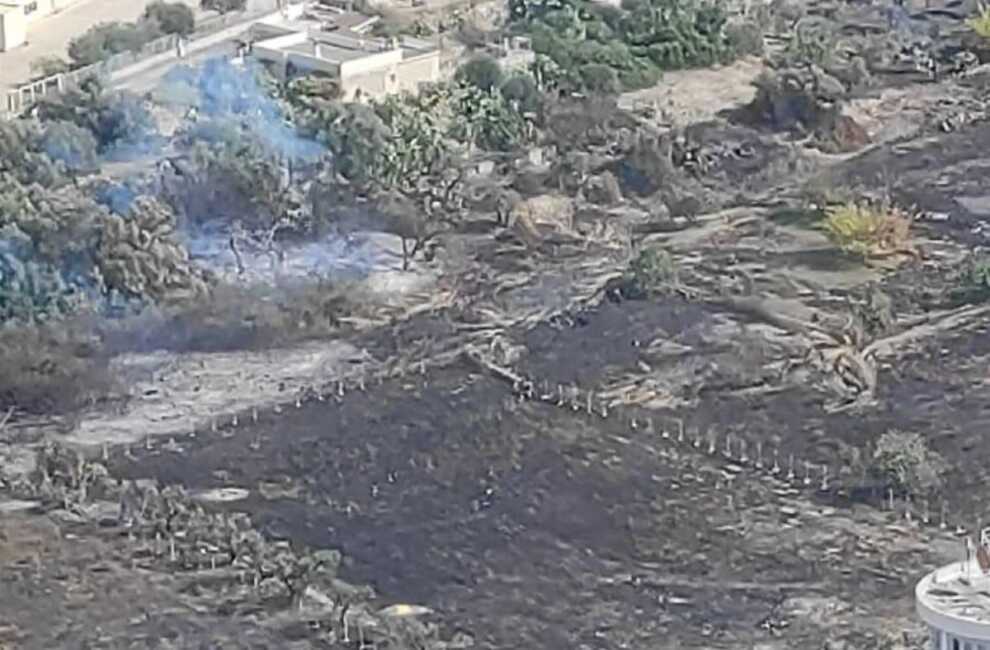 Bari, vasto incendio nell’area verde di lama San Giorgio: intervengono i vigili del fuoco