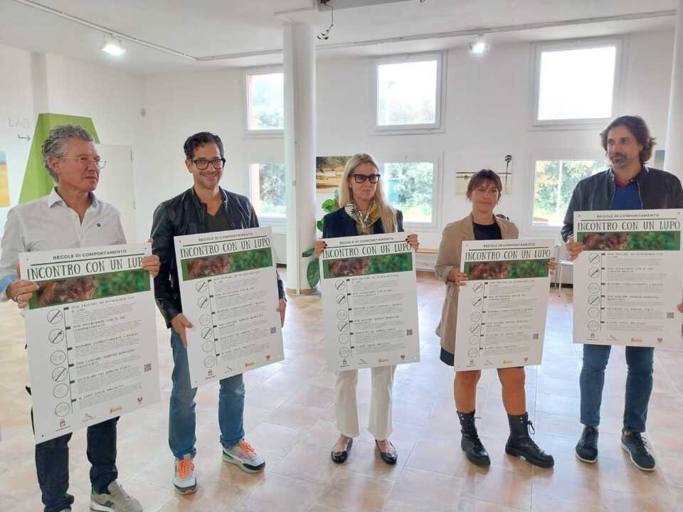 Il lupo torna a dominare il Salento: un progetto per una convivenza sostenibile – FOTO
