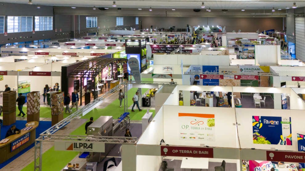 Galleria foto 'Bari, buyer da tutto il mondo in Fiera del Levante per scoprire l’uva da tavola italiana' - foto 1