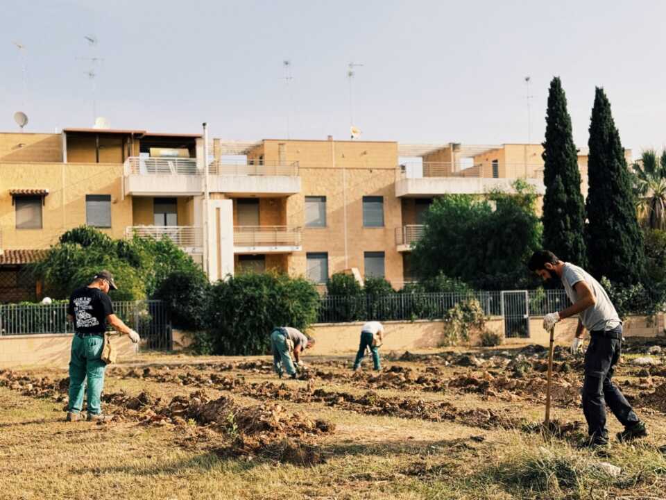 Mola di Bari, avviati i lavori per una piccola foresta in periferia con migliaia di alberi e arbusti