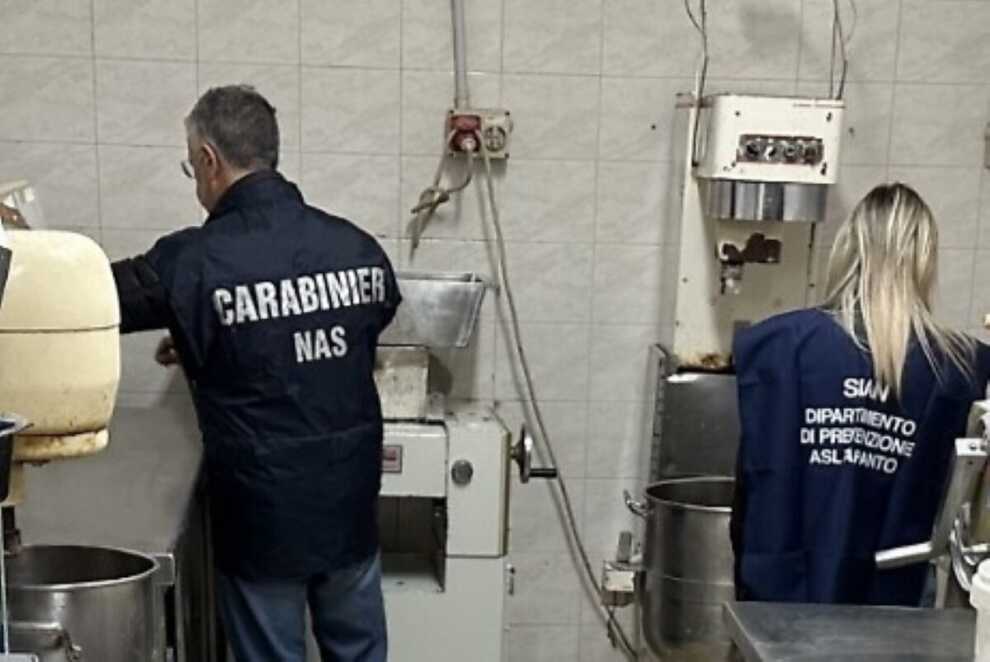 Escrementi di topo nei laboratori e prodotti scaduti: chiusi due panifici nel Tarantino