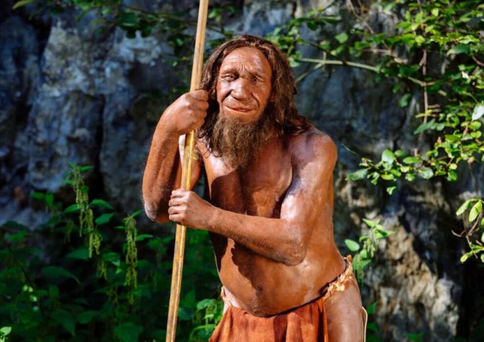 Nessun incontro tra Neanderthal e Sapiens in Italia: lo rivela una ricerca nei siti pugliesi