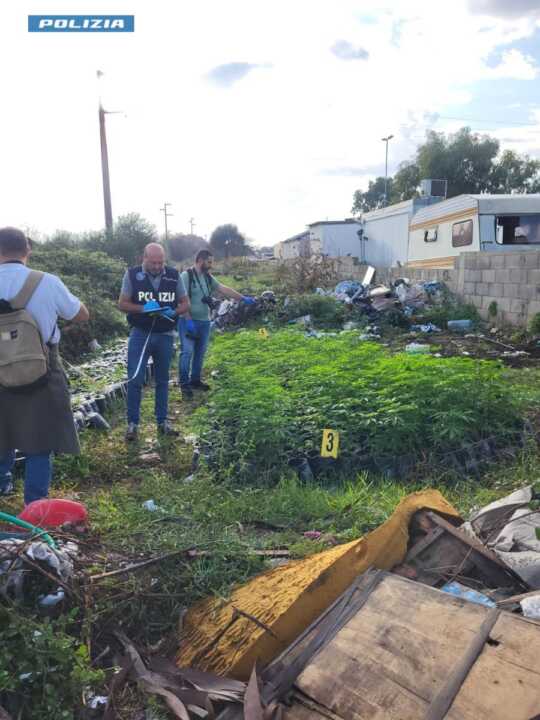 Galleria foto 'Lecce, blitz nel campo Rom “Panareo”: sequestrati 1,5 chili di droga e piante di marijuana – VIDEO' - foto 4