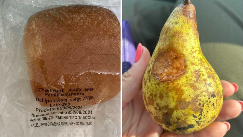 Panini scaduti e frutta ammaccata nella mensa scolastica di Veglie: è bufera