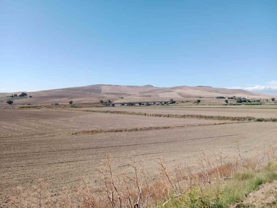 Sviluppo rurale e sostenibilità: la strategia da 184 mln della Regione Puglia