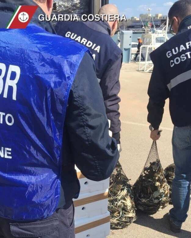Brindisi, controlli al porto: sequestrate centinaia di vasetti di polpa di riccio non tracciabile Brindisi, controlli al porto: sequestrate centinaia di vasetti di polpa di riccio non tracciabile