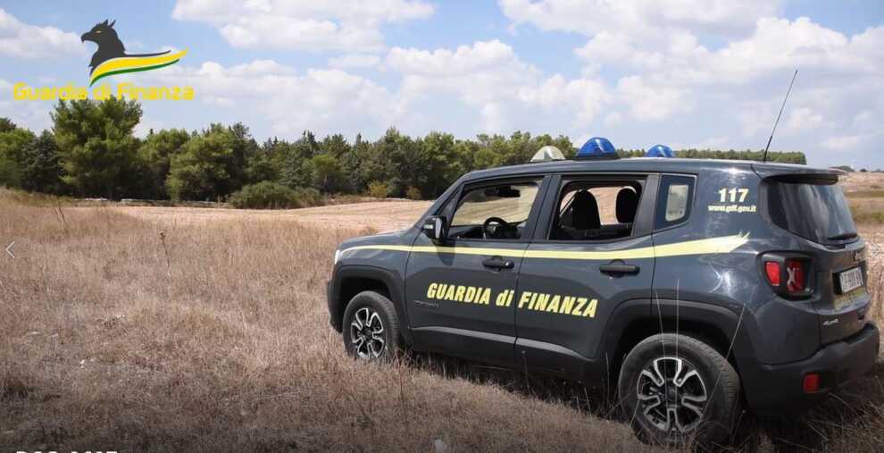 Galleria foto 'Frode in agricoltura a Spinazzola, sequestrati 6 terreni nel Parco dell’Alta Murgia – VIDEO' - foto 1
