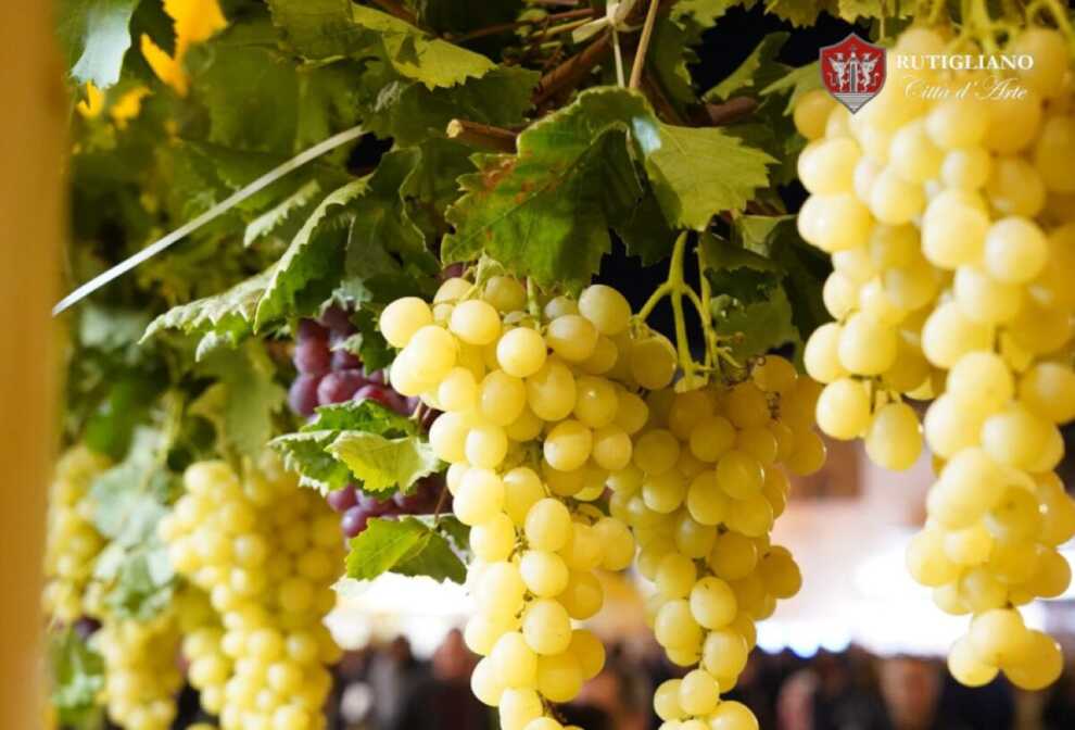 Rutigliano, la 60esima edizione della Sagra dell’uva fra street food e musica – VIDEO