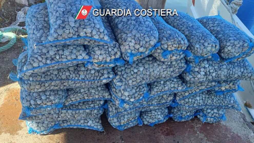 Galleria foto 'Cagnano Varano, trovati 500 chili di vongole non tracciabili abbandonate al porto' - foto 1