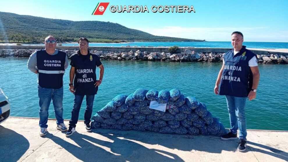 Cagnano Varano, trovati 500 chili di vongole non tracciabili abbandonate al porto
