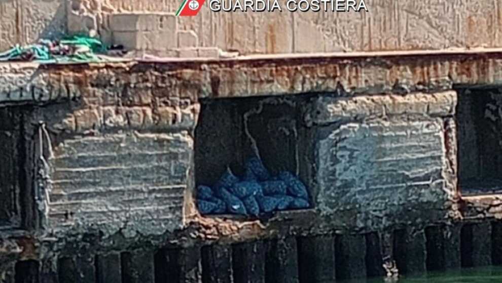 Cagnano Varano, trovati 500 chili di vongole non tracciabili abbandonate al porto
