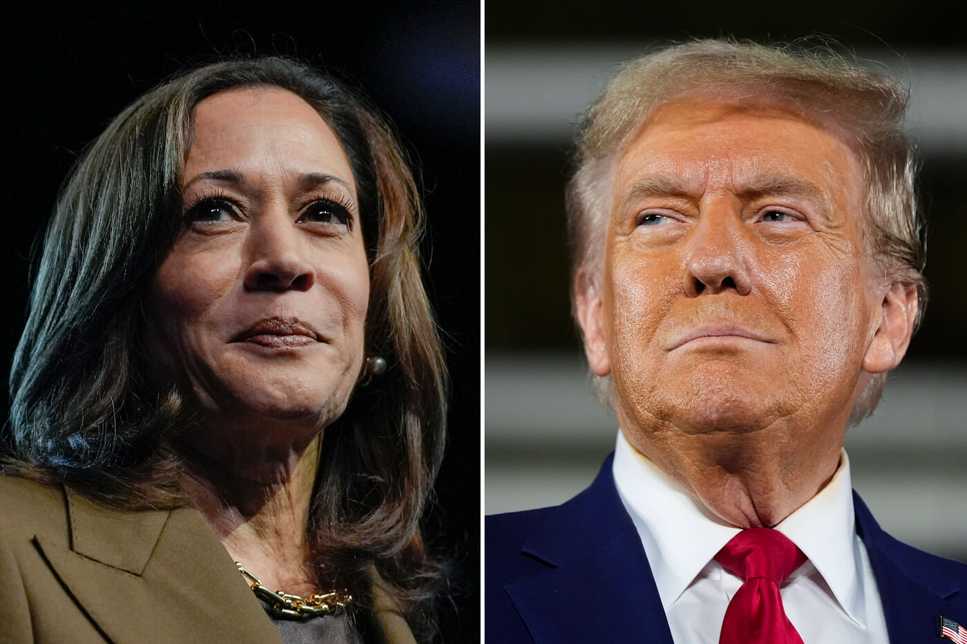 Elezioni Usa, da Bari e Milano fari puntati sulla sfida tra Kamala Harris e Donald Trump Elezioni Usa, da Bari e Milano fari puntati sulla sfida tra Kamala Harris e Donald Trump