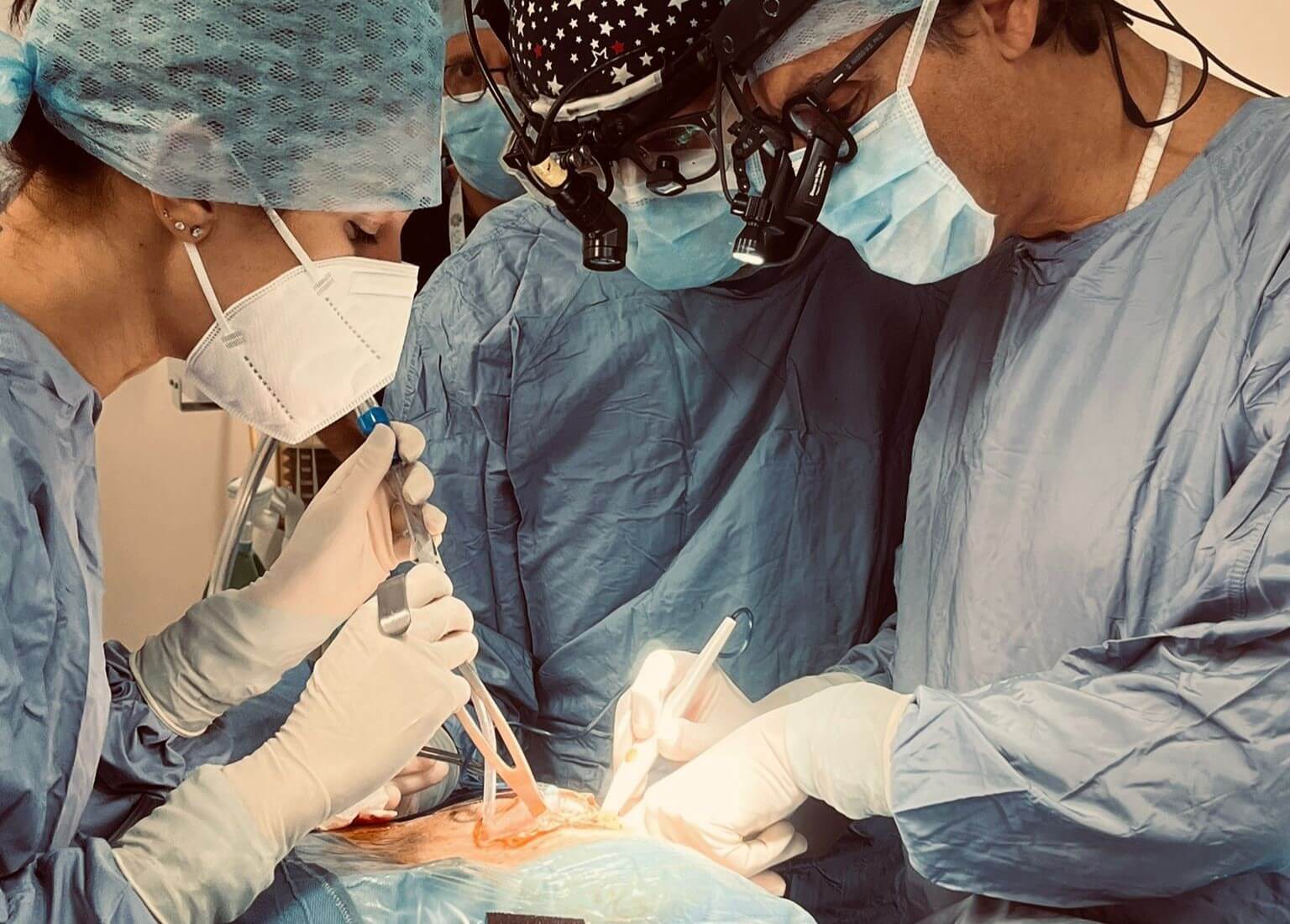 Inoperabile perché troppo rischioso: 82enne salvata a Bari con un innovativo intervento chirurgico