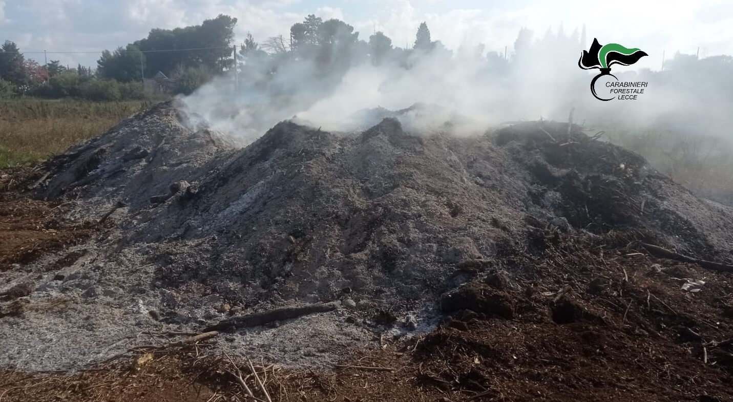 Maglie, cumulo di rifiuti alto 2 metri incendiato in periferia: denunciato un imprenditore Maglie, cumulo di rifiuti alto 2 metri incendiato in periferia: denunciato un imprenditore