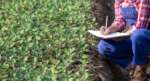 Zes unica, pronto il modello per certificare gli investimenti effettuati in agricoltura e pesca