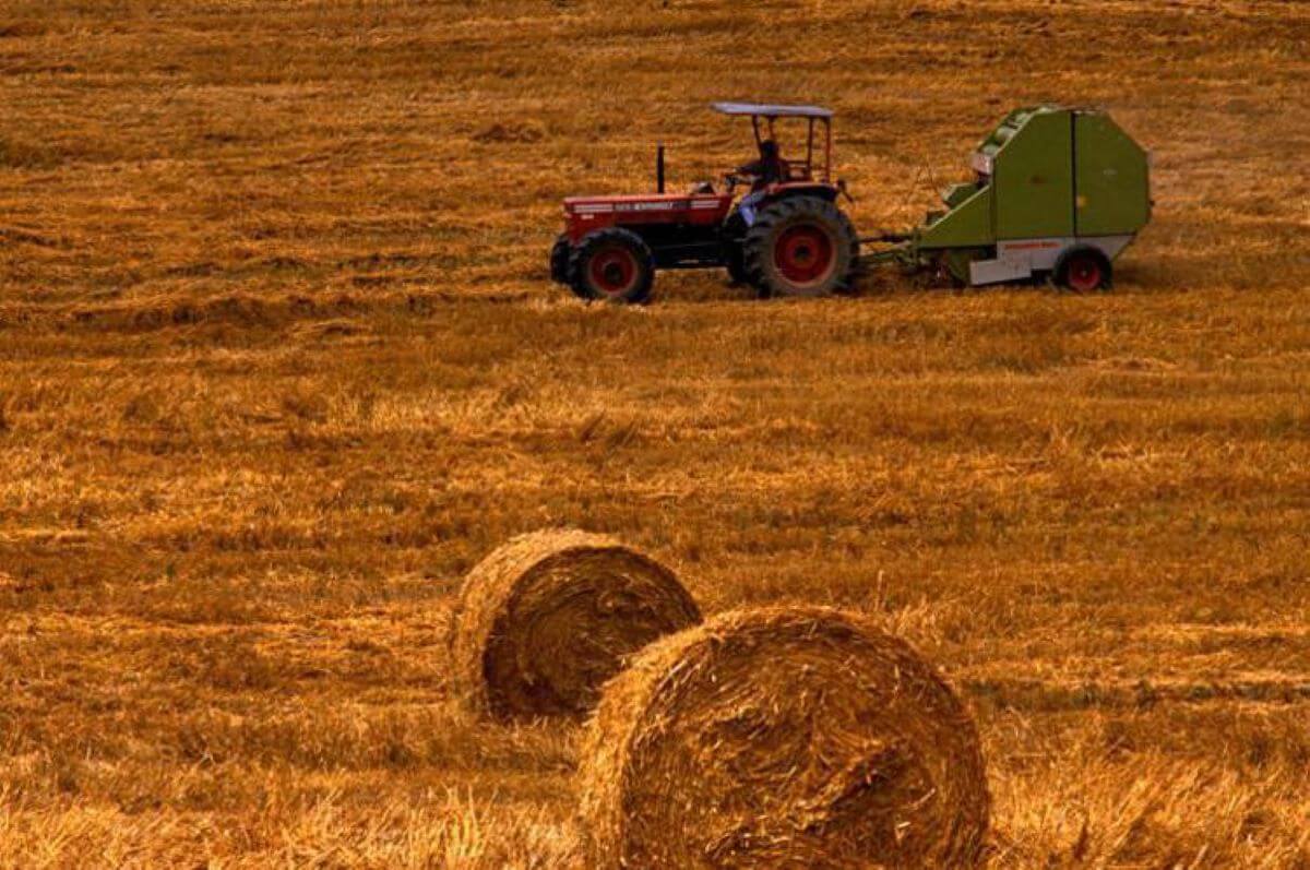 Pisticci, 38 agricoltori diventano proprietari di terreni che hanno coltivato per anni