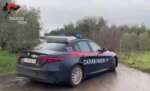 Furto e ricettazione: 4 arresti a Cerignola. Un indagato fermato dopo un inseguimento