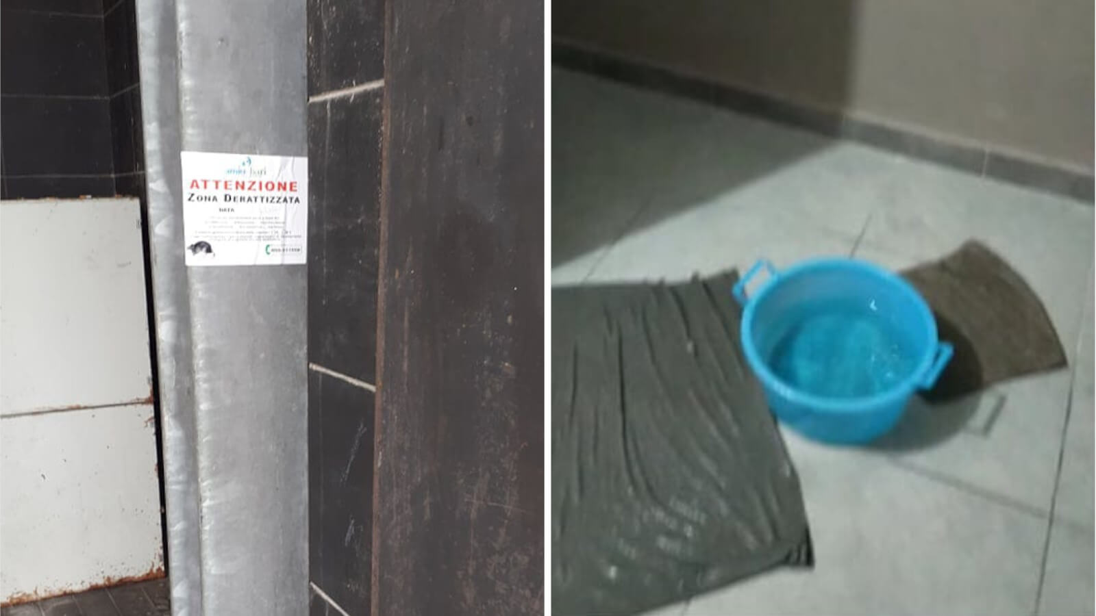 Nelle case popolari di Foggia tra degrado e attese, i residenti: «Siamo abbandonati»