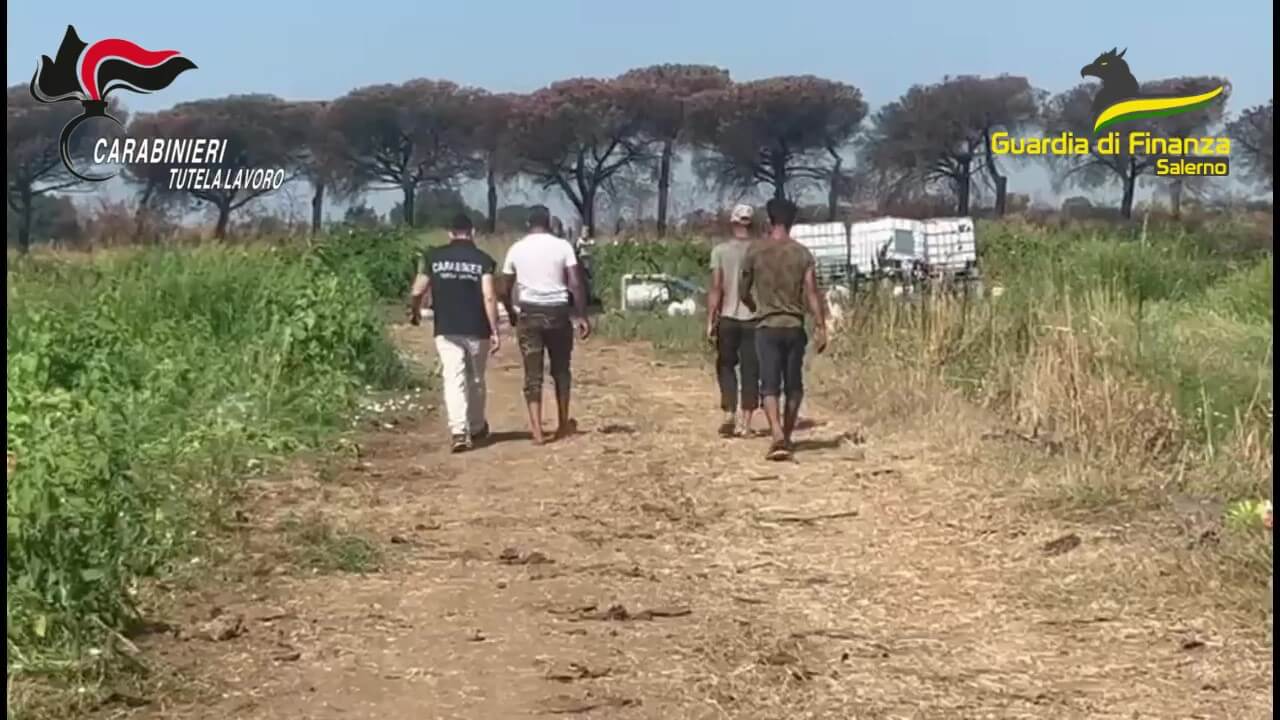 Dl Flussi, bloccate oltre 3mila istanze di assunzione di lavoratori extracomunitari – VIDEO