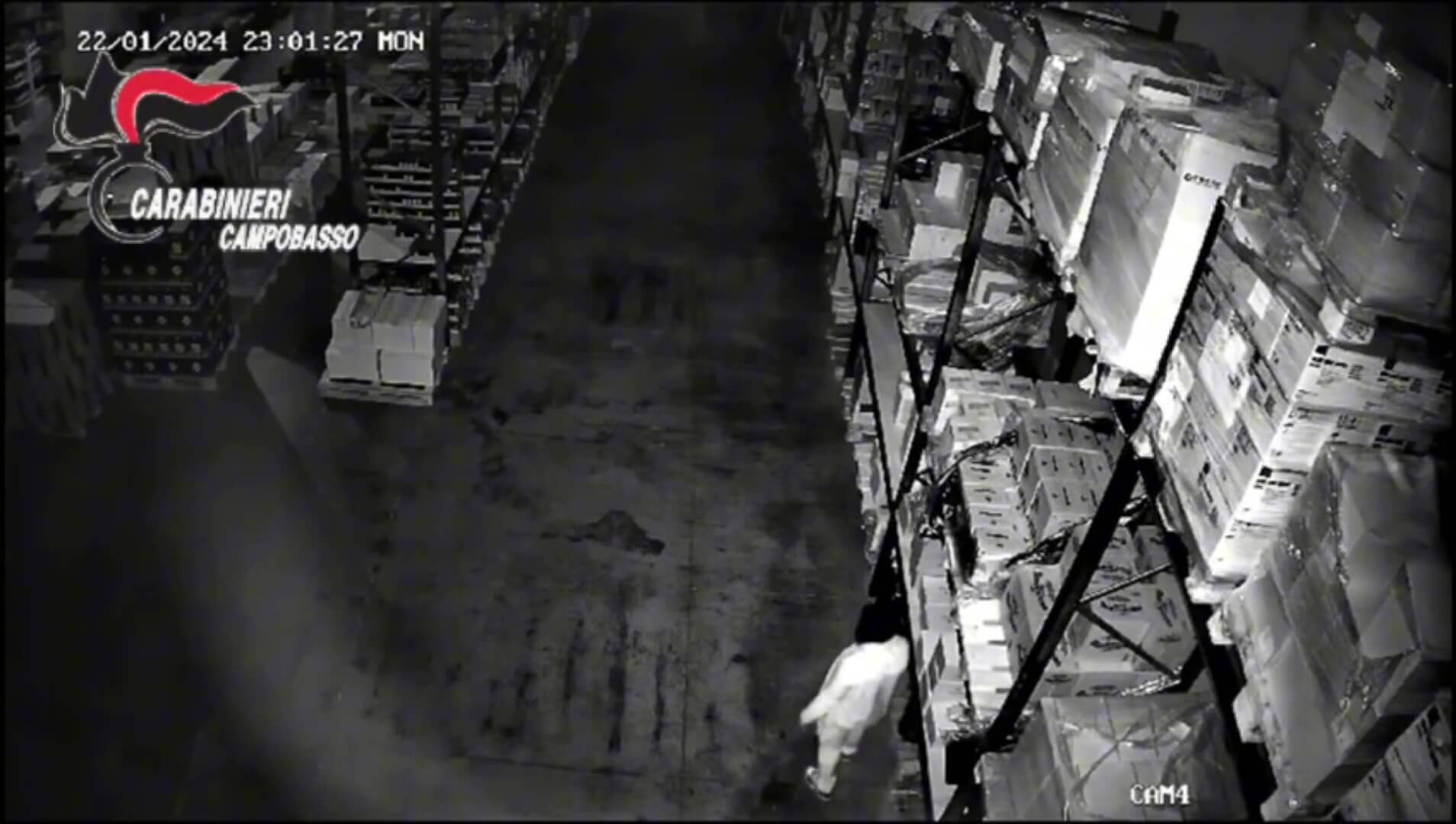 Ladri foggiani in trasferta, furti per 500mila euro: «Il Molise minacciato dalla criminalità pugliese» – VIDEO Ladri foggiani in trasferta, furti per 500mila euro: «Il Molise minacciato dalla criminalità pugliese» – VIDEO