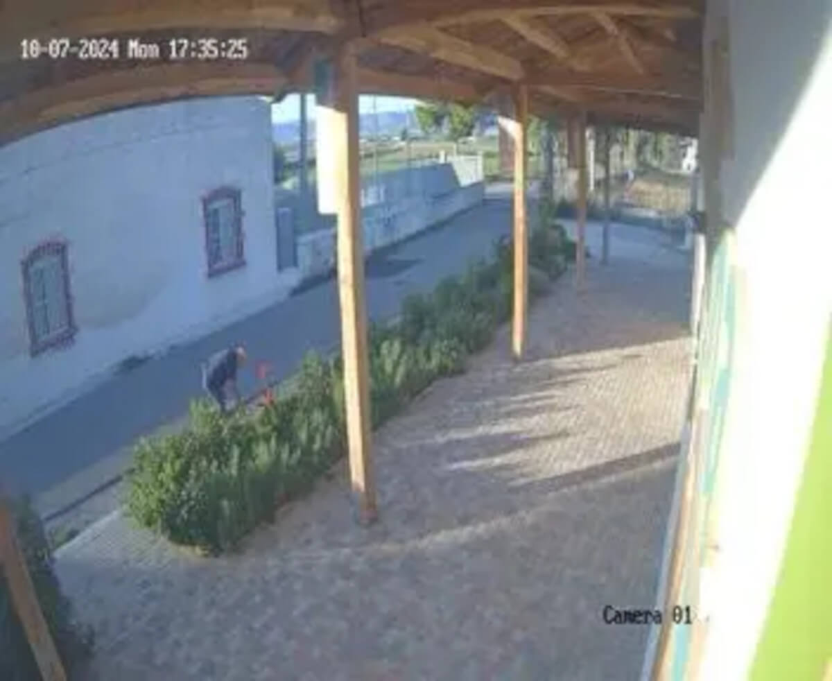 Foggia, rubate piante dall’oasi Laguna del Re. I volontari: «Atto vandalico meschino» Foggia, rubate piante dall’oasi Laguna del Re. I volontari: «Atto vandalico meschino»