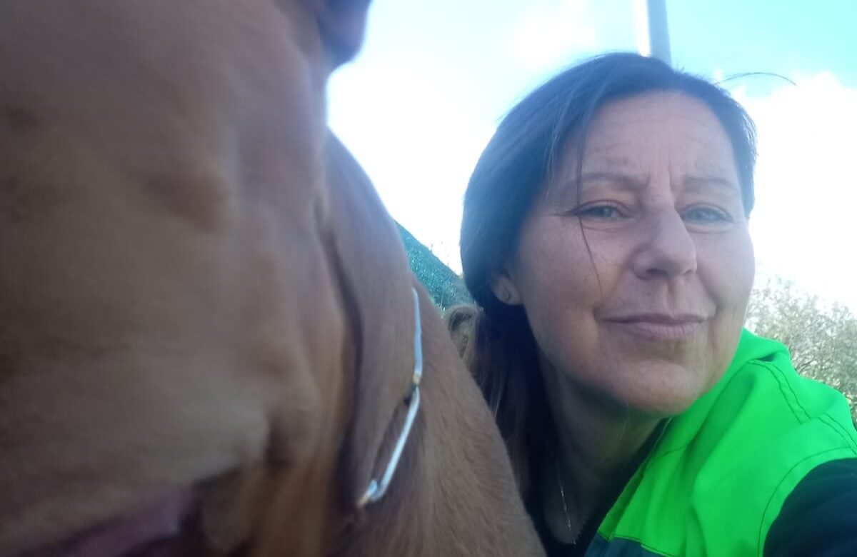 Redog, a Bari un’oasi per i cani. Patruno: «Vi insegno come ci si comporta con loro» – L’INTERVISTA